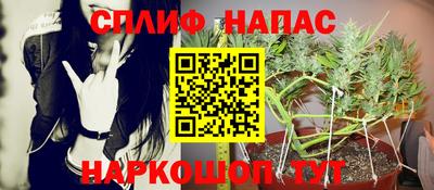 гидра Старая Купавна