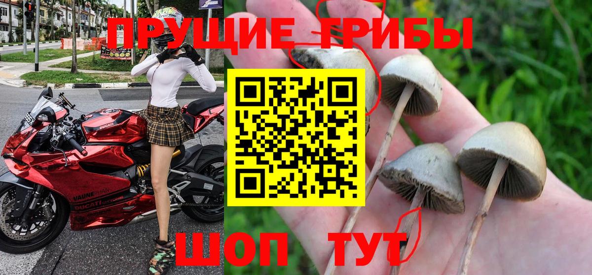 Нижний Тагил  Галлюциногенные грибы Magic Shrooms  Галлюциногенные грибы мухоморы  Вход с VPN 