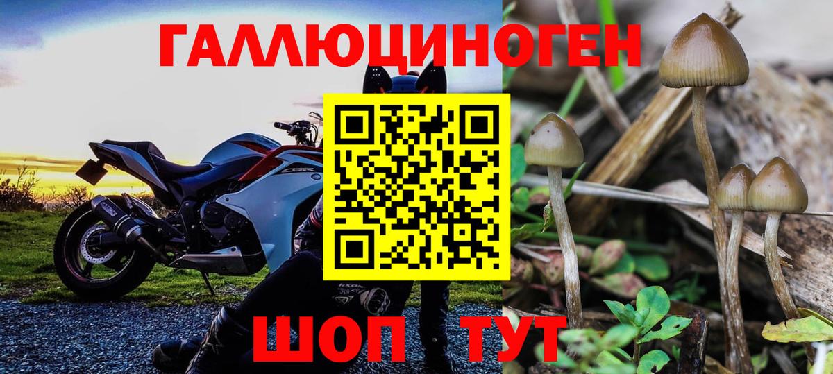 Галлюциногенные грибы мухоморы Нижний Тагил